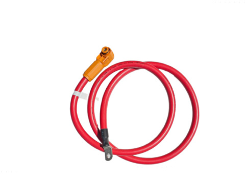 Deye Batterie RW-M6.1-B 51.2V 120Ah 6.14kWh IP65 (Niederspannung) Deye Batterie RW-M6.1-B 51.2V 120Ah 6.14kWh IP65 (Niederspannung)