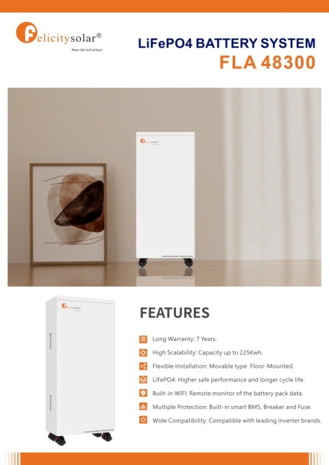 Felicity Bateria FLA48300 15kWh 51,2V (IP21) (niskonapięciowy) Felicity Bateria FLA48300 15kWh 51,2V (IP21) (niskonapięciowy)